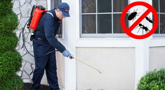 Refahiye Akrep İlaçlama böcek ilaçlama ve haşere kontrolü — ilaclama-tr.com